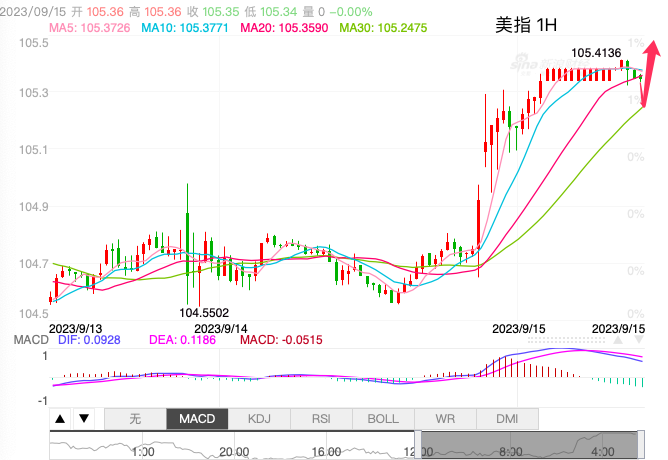 主次节奏：美指延续强势上涨，上看106-第1张图片-翡翠网