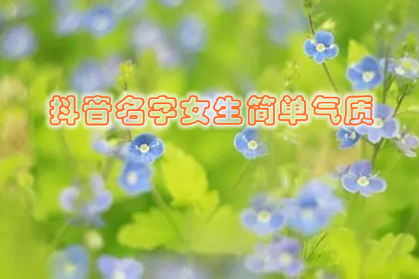 抖音名称昵称女有内涵两个字的名字抖音名称.昵称女有内涵两个字-第2张图片-翡翠网