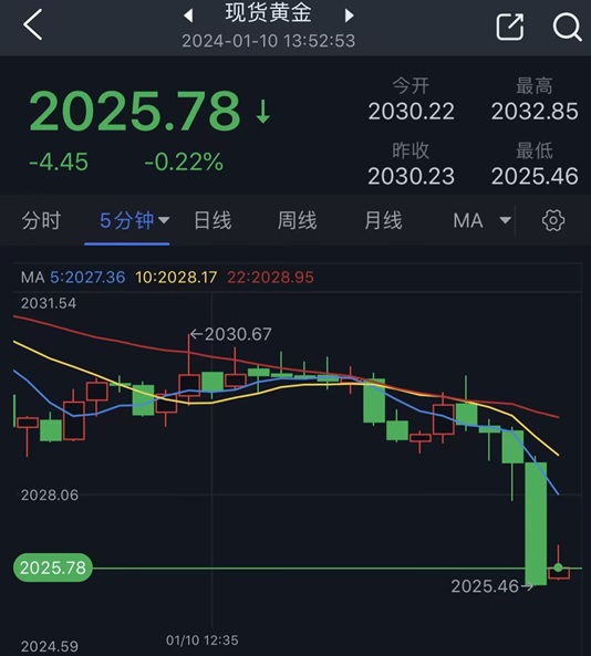 突发行情！金价短线跳水逼近2025美元 黄金最新日内交易分析-第1张图片-翡翠网