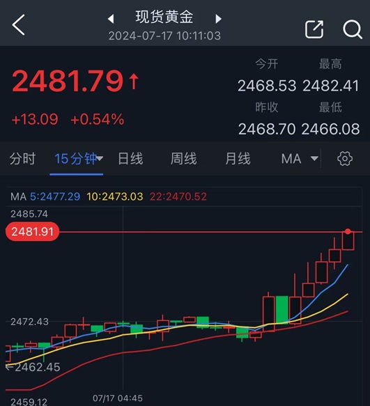 黄金又爆发！金价大涨13美元、创历史新高 FXStreet首席分析师金价技术分析-第1张图片-翡翠网