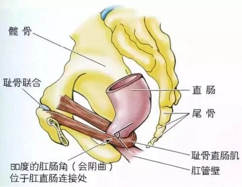 包含翡翠原石有刺鼻酸味的词条-第4张图片-翡翠网