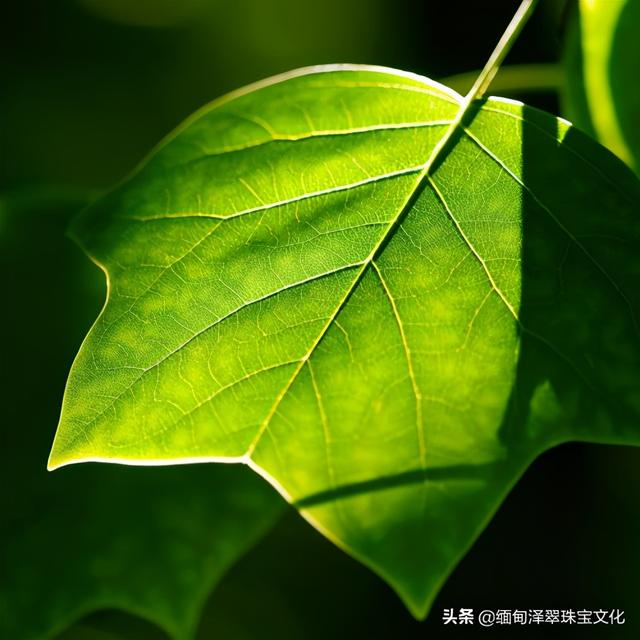 翡翠小知识100例的简单介绍-第8张图片-翡翠网