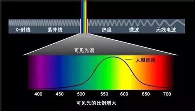 翡翠原石价格紫罗兰翡翠原石该怎么选-第2张图片-翡翠网