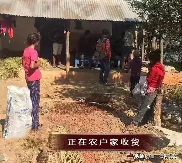 人家捡到钱买翡翠原石翡翠原石产地是哪里-第2张图片-翡翠网