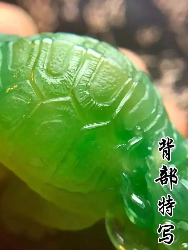 藓加绿翡翠原石加绿翡翠原石视频-第10张图片-翡翠网