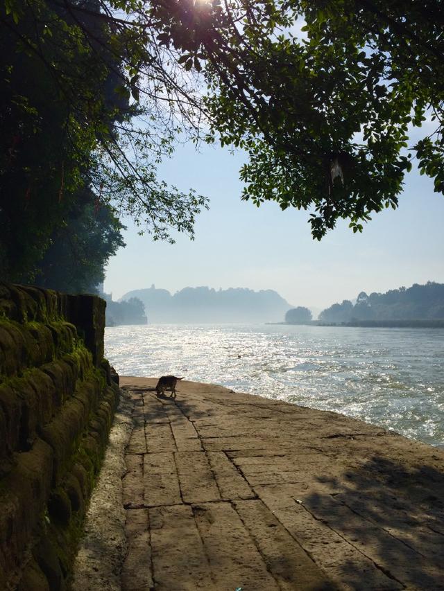 乐山旅游翡翠价格峨眉山导游让买玉-第42张图片-翡翠网