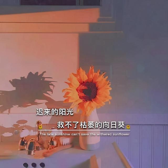 抖音图片,抖音最热图片大全-第2张图片-翡翠网