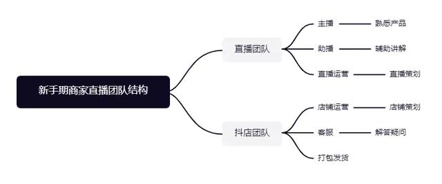 抖音运营,抖音运营方案详细-第2张图片-翡翠网