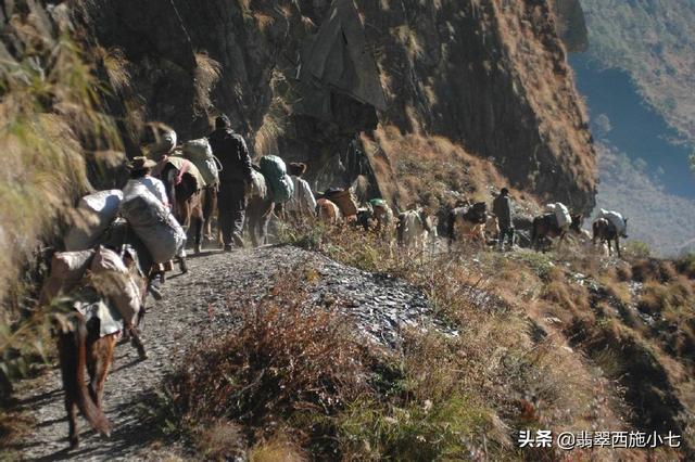 翡翠原石哪里买,缅甸翡翠原石如何进口-第3张图片-翡翠网