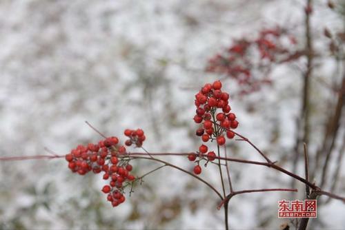 抖音很火的结婚祝福语,祝福朋友嫁女儿吉言-第1张图片-翡翠网