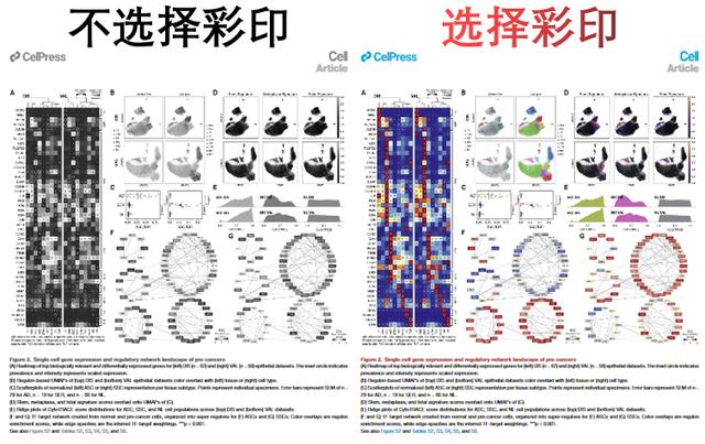 滕翡翠知识付费国外对知识付费的认识-第11张图片-翡翠网