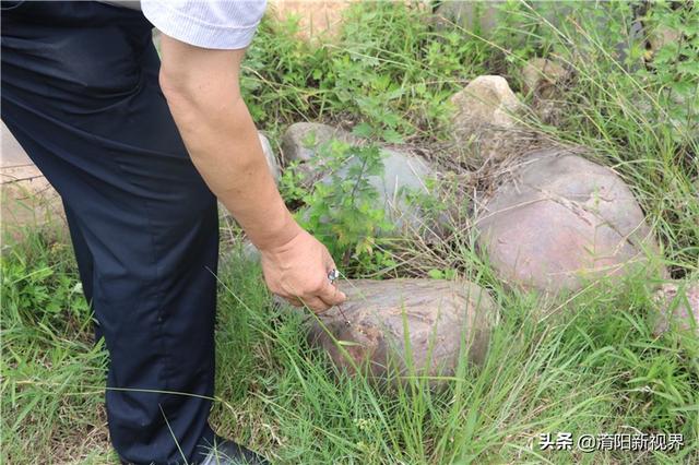 河里透明鹅卵石是玉吗,河里翡翠原石吗-第37张图片-翡翠网