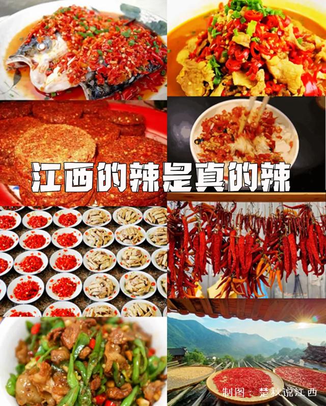 茄子短视频app跟抖音有点像的,茄子app官网下载页-第59张图片-翡翠网