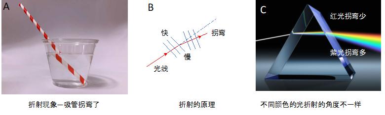 冰种翡翠原石打灯表现冰味翡翠原石切法-第2张图片-翡翠网