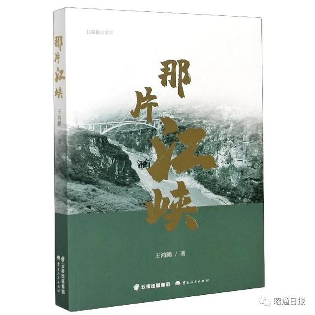 翡翠知识入门书籍翡翠钢炮知识-第2张图片-翡翠网