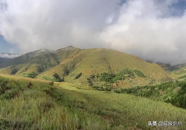 哪里买翡翠原石忻州翡翠原石哪里买-第19张图片-翡翠网