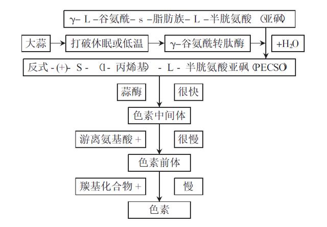 毒品的特征和由来,翡翠知识翡翠特征和翡翠的由来-第7张图片-翡翠网