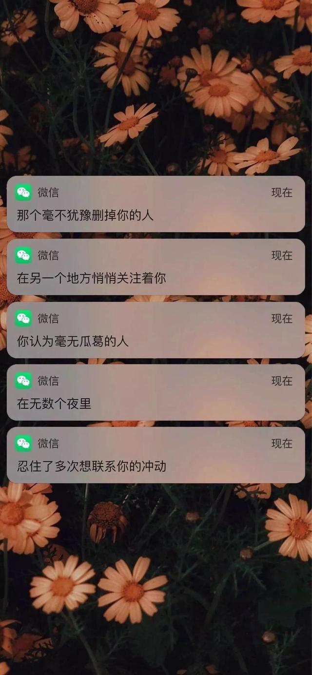 抖音壁纸抖音很火的iphone壁纸-第24张图片-翡翠网