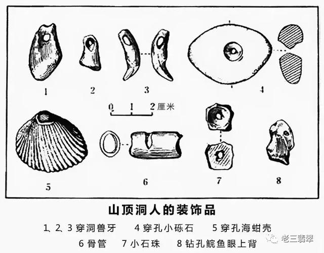 翡翠珠子项链的价格的简单介绍-第9张图片-翡翠网