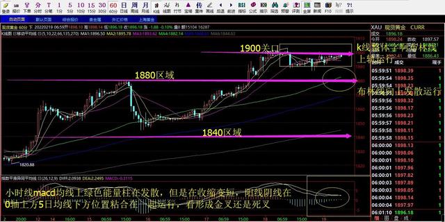 现货黄金黄金回收价格-第3张图片-翡翠网