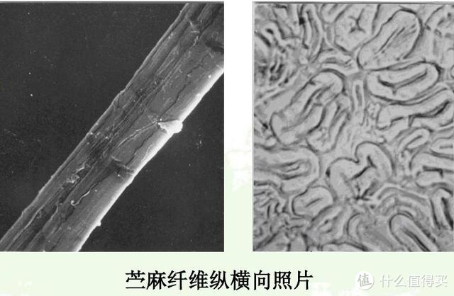 关于翡翠手镯打灯冰丝棉线的信息-第21张图片-翡翠网