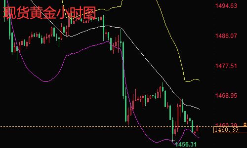 今日黄金价格黄金期货实时行情-第1张图片-翡翠网