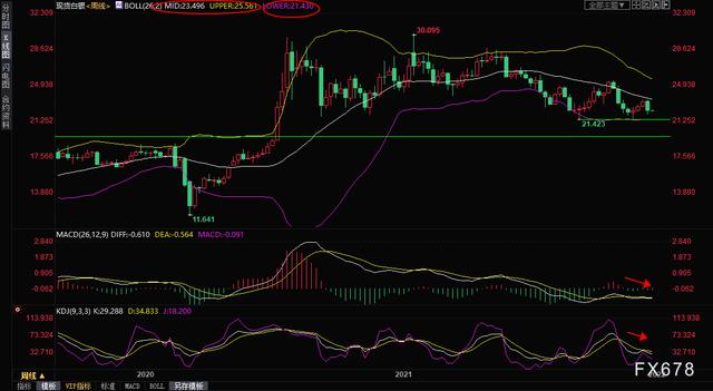 2021年黄金会掉价吗,2021年黄金会暴跌不-第6张图片-翡翠网