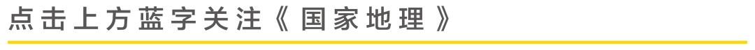 11克拉的莫桑石多少钱,人工合成钻石成本一克拉-第1张图片-翡翠网