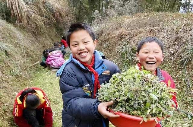 珍珠翡翠白玉汤的珍珠是什么珍珠翡翠白玉汤知识题-第1张图片-翡翠网