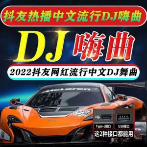 2022年抖音最火的十首dj歌曲,2022年抖音最火的十首dj歌曲歌词-第1张图片-翡翠网