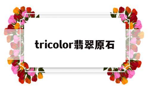 关于tricolor翡翠原石的信息-第1张图片-翡翠网