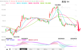 主次节奏：美指先扬后抑，再次陷入震荡回测103