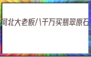 关于河北大老板八千万买翡翠原石的信息