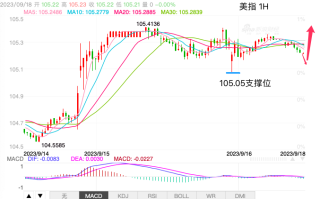 主次节奏：美指高位盘整，105.05支撑对上涨起关键作用