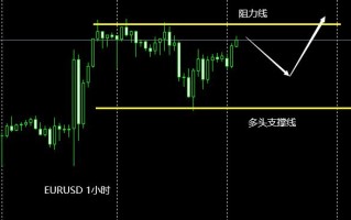 裴瑞：欧元强势，未来继续看新高