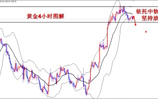 黄金实时行情走势图最新,黄金实时行情走势图