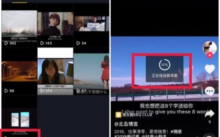 tiktok加速器永久免费版,抖音短视频6.8.0版本