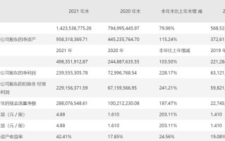 力量钻石应收款,力量钻石财务造假