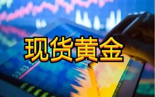 新手炒黄金从入门到精通,炒黄金新手入门