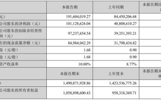 关于力量钻石财务指标分析的信息