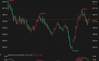 金价回调，在1960处得到支撑，通胀回落增加了美联储已经完成加息的预期