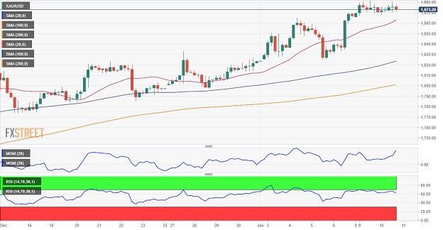 美元仍处修正模式、黄金多头继续掌控局势！FXStreet首席分析师最新黄金技术前景分析-第1张图片-翡翠网