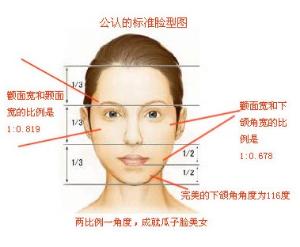 黄金比例脸特效黄金比例脸-第2张图片-翡翠网