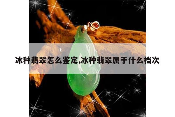 包含翡翠档次怎么区分的词条-第2张图片-翡翠网