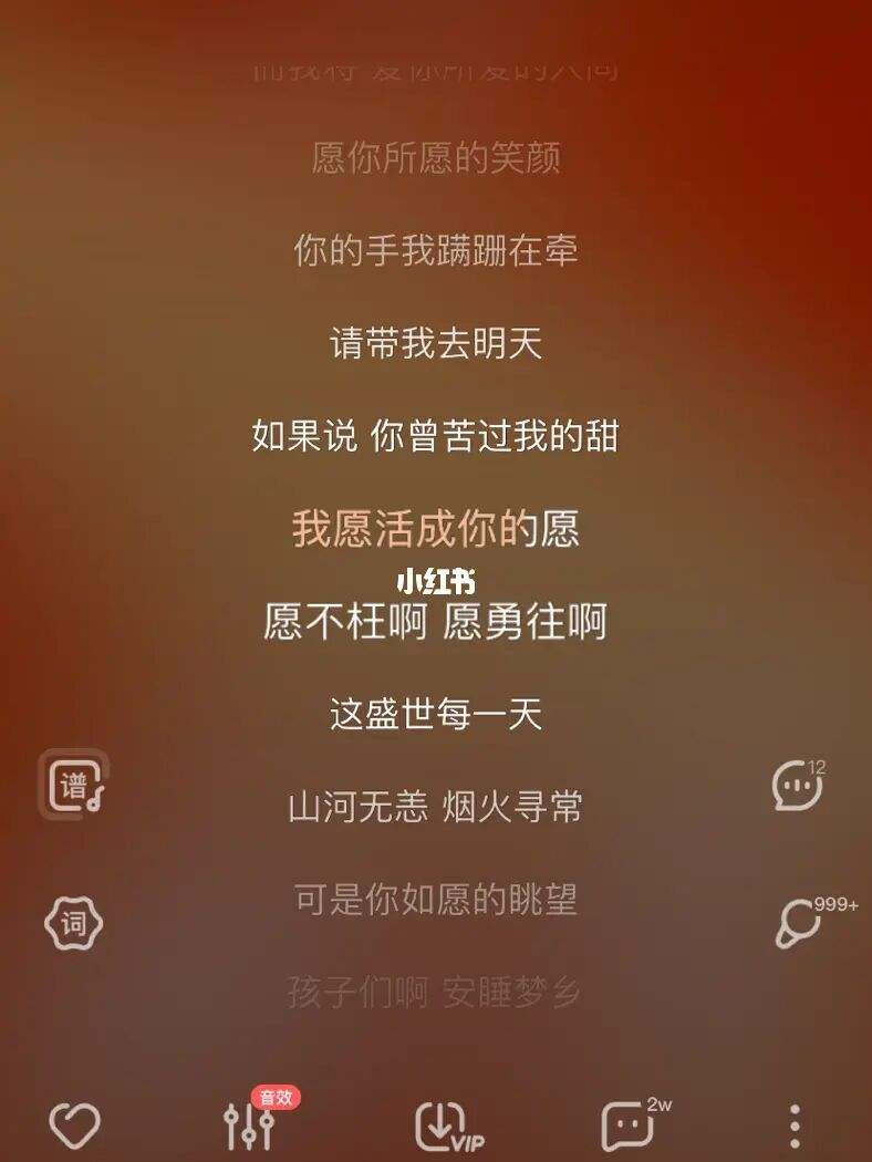 抖音最火歌曲愿你歌词,抖音最火100首歌曲免费听-第2张图片-翡翠网