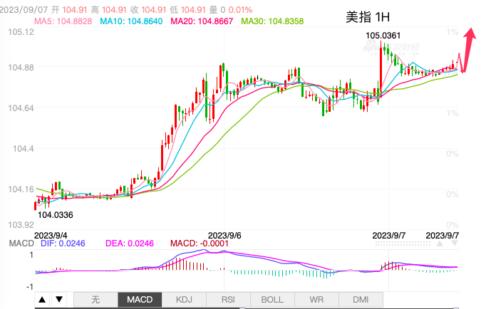 主次节奏：美指创半年新高，继续上测106-第1张图片-翡翠网