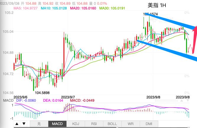 主次节奏：美指旗形中继下沿获支撑，继续上行-第1张图片-翡翠网