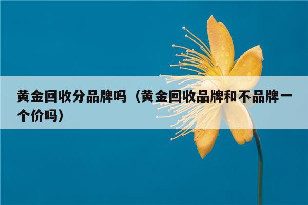 目前黄金回收价格是多少钱一克,目前黄金回收价格是多少钱一克目前泉州一亩地多少钱-第1张图片-翡翠网