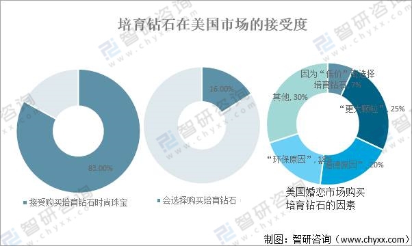 培育钻石的市场前景怎么样培育钻石的市场前景-第2张图片-翡翠网