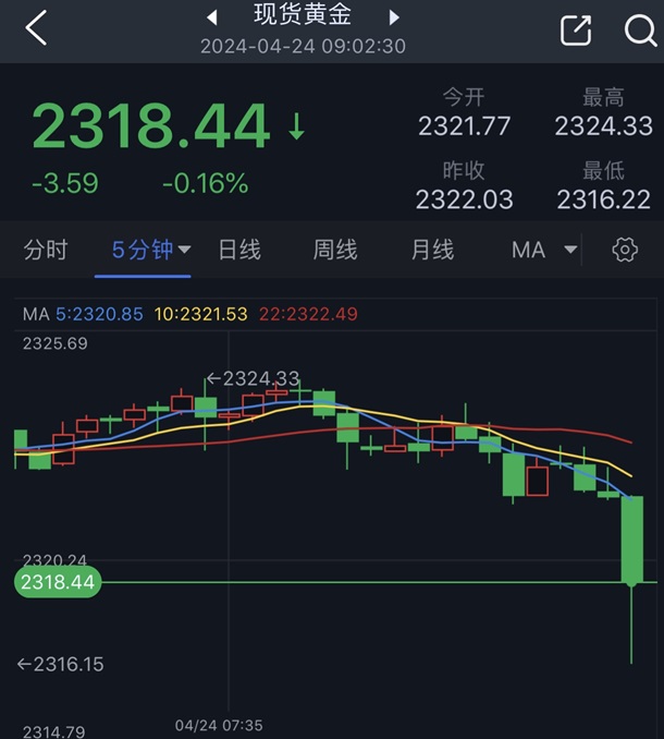 黄金短线突然一波跳水！金价一度逼近2315美元 FXStreet首席分析师黄金技术前景分析-第1张图片-翡翠网